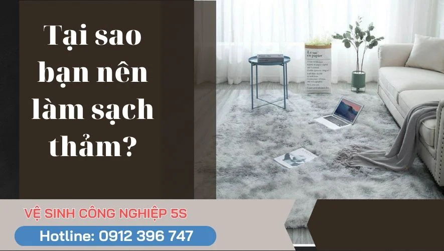 Hướng dẫn các bước giặt thảm lông đơn giản tại nhà