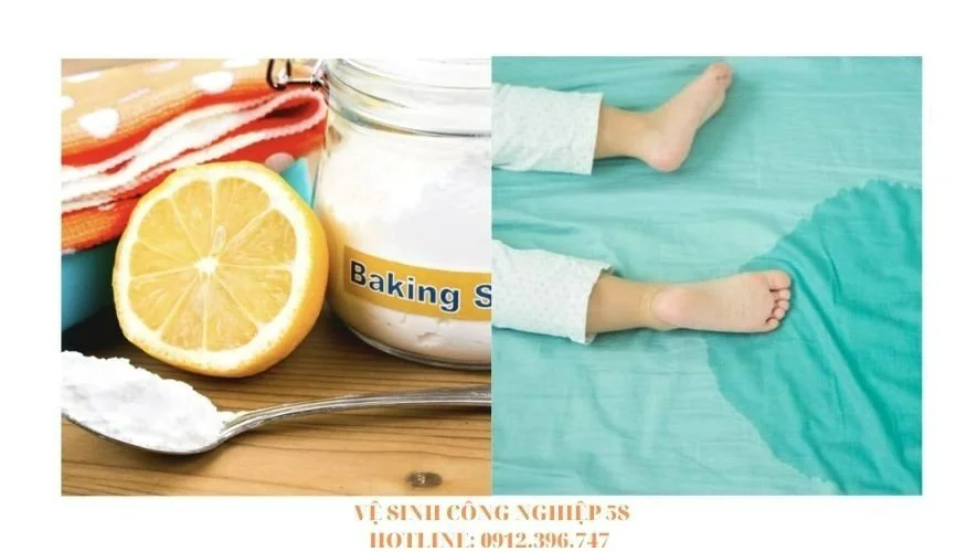 tong ve sinh khach san 3