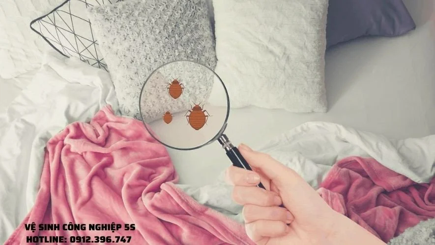 tong ve sinh khach san 4