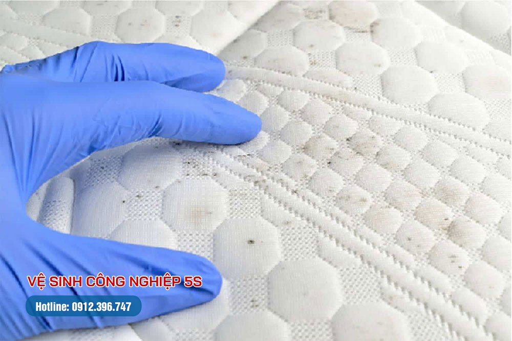 Nệm sử dụng lâu ngày gặp môi trường ẩm ướt sẽ xuất hiện nấm mốc và mùi hôi khó chịu