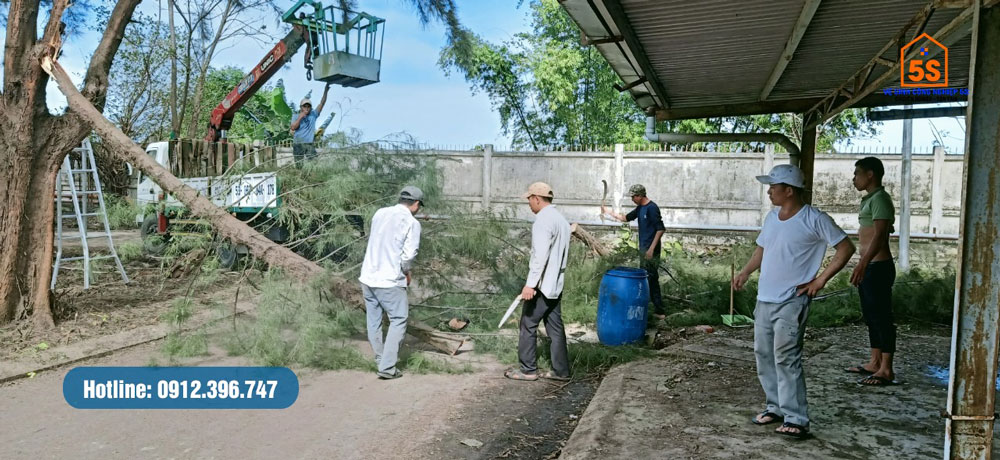 Vệ sinh cảnh quan xung quanh nhà xưởng